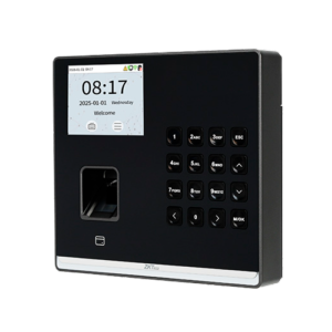   Control de presencia y acceso simple