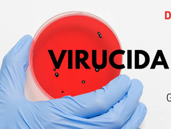 Desinfectante Bactericida, Levuricida y Viricida