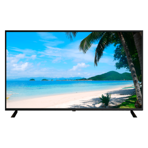 Monitor LED 55" Diseñado para videovigilancia